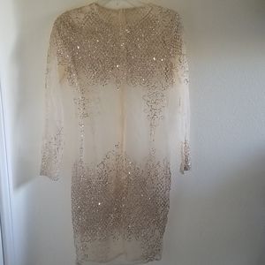 Video in Photos!! Sparkle Mesh Nude Dress/Cover